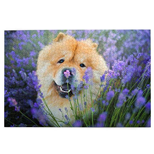 Puzzle 1000 Teile, Chow-Chow, süße, Flauschige, braune Hunde, lila, wildes Puzzle, Spielzeug, Familienspiel, Wanddekoration für Erwachsene und Teenager, 38 x 26 cm von AFHMZ