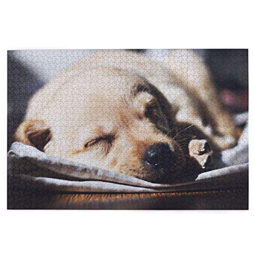 Puzzle 1000 Teile, Kleiner Labrador, schlafender Welpe, Golden Retriever, Puzzlespielzeug, Familienspiel, Wanddekoration für Erwachsene und Teenager, 70 x 50 cm von AFHMZ