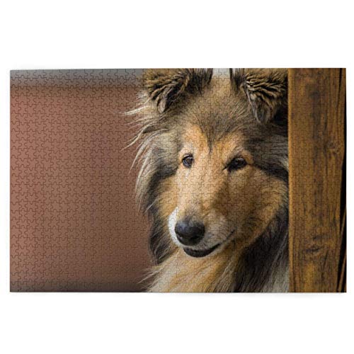 Puzzle 1000 Teile, Rauer Collie, Lassie-Hund, große, Flauschige Hunde, Haustiere, Puzzlespielzeug, Familienspiel, Wanddekoration für Erwachsene und Jugendliche, 70 x 50 cm von AFHMZ