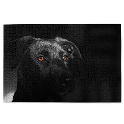 Puzzle 1000 Teile, Schwarzer Labrador, Schwarzer Retriever, Hunde, Haustiere, Puzzlespielzeug, Familienspiel, Wanddekoration für Erwachsene und Jugendliche, 70 x 50 cm von AFHMZ