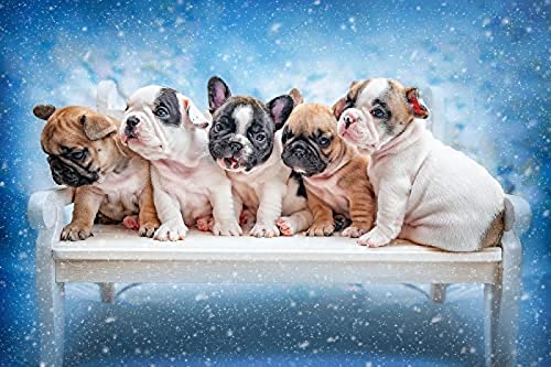 Puzzle 1000 Teile/Französische Bulldogge im Schnee/Unmögliches Puzzle für Erwachsene und Kinder, Lernspiel für Kinder, Spielzeug, Geschenk für zu Hause, Reisegröße 38 x 26 cm von AFHMZ