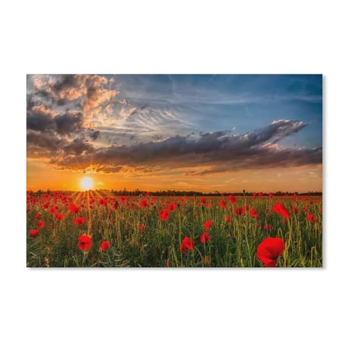 Puzzle 1000 Teile，Roter Mohnblumen-Sonnenuntergang，Papier Kinderspielzeug Dekompressionsspiel 38x26CM von AFHMZ