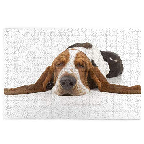 Puzzle 1000 Teile Basset Hounds Schlafende Hunde Haustiere Hunde Basset Puzzle Spielzeug Familienspiel Wanddekoration für Erwachsene Teenager 70x50CM von AFHMZ