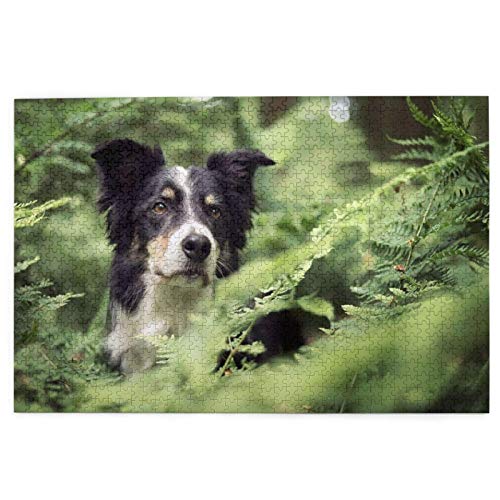 Puzzle 1000 Teile Border Collie Hunde Wald Bokeh Haustiere Schwarz Weiß Puzzle Spielzeug Familienspiel Wanddekoration für Erwachsene Teenager 70x50CM von AFHMZ