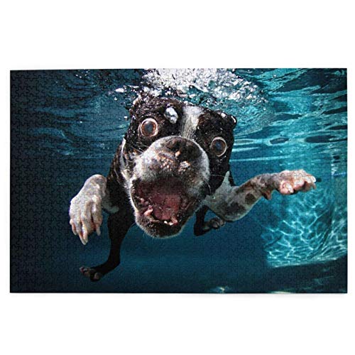 Puzzle 1000 Teile Boston Terrier Unterwasserhund Puzzle Spielzeug Familienspiel Wanddekoration für Erwachsene Teenager 38x26CM von AFHMZ