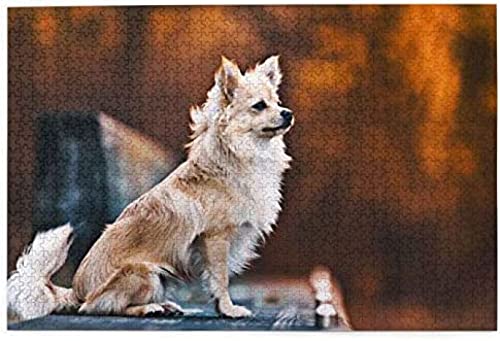 Puzzle 1000 Teile Chihuahua Herbsthunde Flauschiger Chihuahua Bokeh Papierpuzzle Spielzeug Familienspiel Wanddekoration Für Erwachsene Teenager 38x26CM von AFHMZ