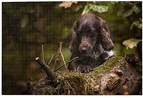 Puzzle 1000 Teile Cocker Spaniel Welpe Bokeh Brauner Spaniel Wald Papierpuzzle Spielzeug Familienspiel Wanddekoration Für Erwachsene Teenager 70x50CM von AFHMZ