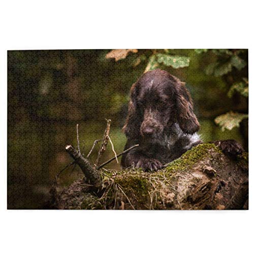 Puzzle 1000 Teile Cocker Spaniel Welpe Bokeh Brauner Spaniel Wald Puzzle Spielzeug Familienspiel Wanddekoration für Erwachsene Teenager 70x50CM von AFHMZ