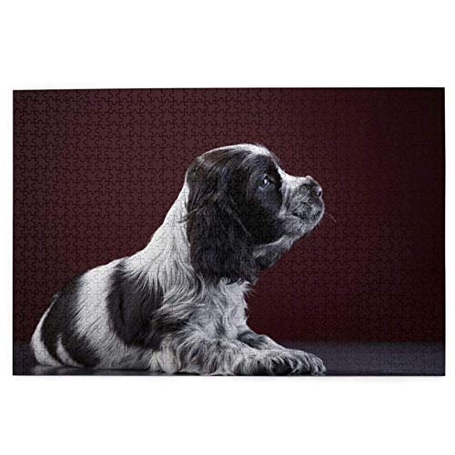 Puzzle 1000 Teile Cocker Spaniel Welpe Schwarz-Weiß-Spaniel Puzzle Spielzeug Familienspiel Wanddekoration für Erwachsene Teenager 52x38CM von AFHMZ