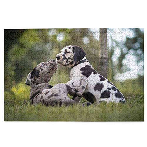 Puzzle 1000 Teile Dalmatiner Kleine Welpen Süße Hunde Haustiere Puzzle Spielzeug Familienspiel Wanddekoration für Erwachsene Teenager 70x50CM von AFHMZ