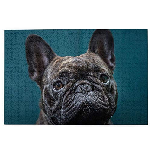 Puzzle 1000 Teile Französische Bulldoggen, Haustiere, Hunde, Bulldoggen, Französisches Puzzle, Spielzeug, Familienspiel, Wanddekoration für Erwachsene und Jugendliche, 70 x 50 cm von AFHMZ