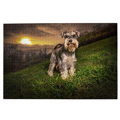 Puzzle 1000 Teile Schnauzer Sonnenuntergang Hunde Haustiere Berge Schnauzer Puzzle Spielzeug Familienspiel Wanddekoration für Erwachsene Teenager 38x26CM von AFHMZ