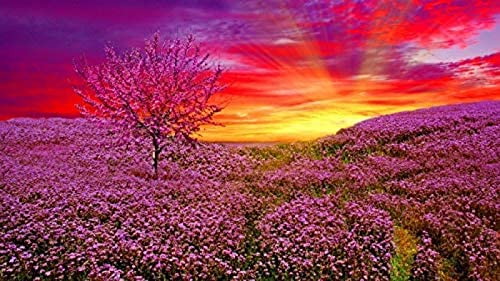 Puzzle 1000 Teile Sonnenaufgang Blumenfeld Unmögliches Puzzle für Erwachsene und Kinder, zum Geburtstag, Erntedankfest, 70 x 50 cm von AFHMZ