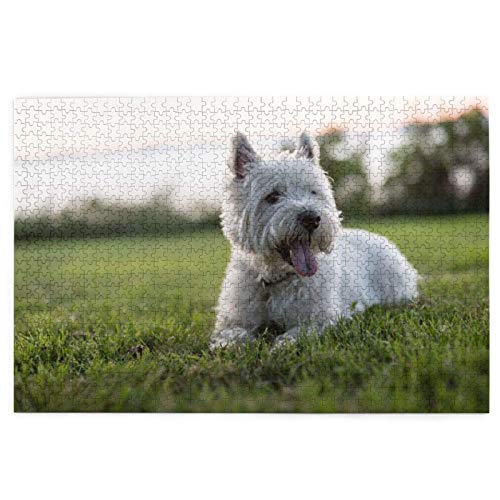 Puzzle 1000 Teile Westie Lawn West Highland White Terrier Hunde Puzzle Spielzeug Familienspiel Wanddekoration für Erwachsene Teenager 70x50CM von AFHMZ