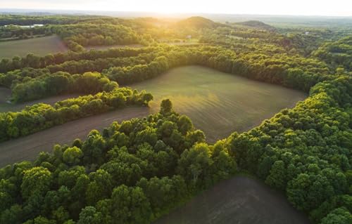 Puzzle 1000 Teile für Erwachsene | 1000-teiliges Puzzle, Lernspiele, Heimdekorationspuzzle, Landschaft, 70 x 100 cm von AFHMZ