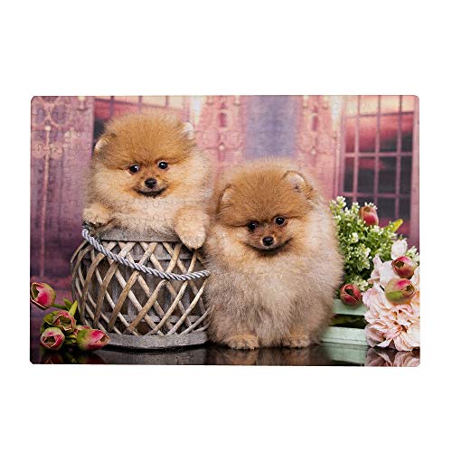 Puzzle 1000 Teile für Erwachsene - Pomeranian-Hundewelpe Blumen Puzzlespiel Kinderspielzeug 52x38CM von AFHMZ