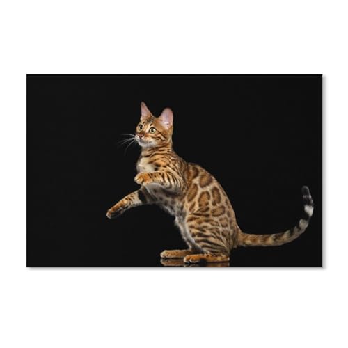 Puzzle 1000 Teile zum Zusammensetzen von Bildern，Bengalkatze，Spiele für Erwachsene Lernspielzeug 38x26CM von AFHMZ