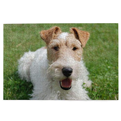 Puzzle 2000 Teile, Airedale Terrier, weiße lockige Hunde, Haustiere, Puzzlespielzeug, Familienspiel, Wanddekoration für Erwachsene und Jugendliche, 70 x 100 cm von AFHMZ