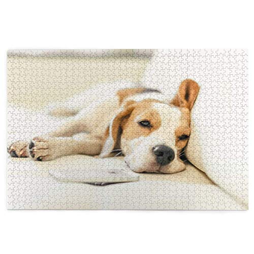 Puzzle 2000 Teile, Beagle, schlafende Hunde, Haustiere, Hunde, Welpen, Beagle, Puzzlespielzeug, Familienspiel, Wanddekoration für Erwachsene und Jugendliche, 70 x 100 cm von AFHMZ