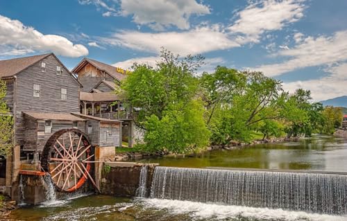 Puzzle für Erwachsene, 100 Teile, Puzzle 100 Teile für Erwachsene, Geschenke, Bäume, Rad, Wassermühle, 45,5 x 35,5 cm Puzzle für Erwachsene, 100 Teile, Puzzle 100 Teile für Erwachsene, Geschenke, Bäume, Rad, Wassermühle, 45,5 x 35,5 cm von AFHMZ