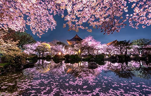 Puzzle für Erwachsene, 1000 Teile, Lichter der Stadt, Nachtlichter, Frühling, japanische Kirschblüten, 38 x 26 cm von AFHMZ