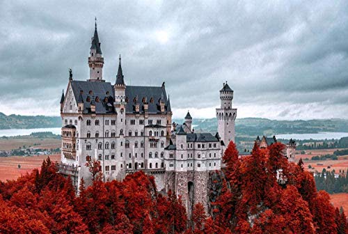 Puzzle für Erwachsene, 1000 Teile, Schloss Neuschwanstein, Puzzlespiel für Erwachsene, Puzzlespiel für Teenager, Spielzeug, Geschenk, 1000 Teile, 70 x 50 cm von AFHMZ