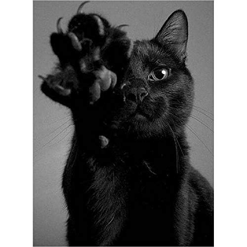 Puzzle für Erwachsene 100 Teile Kinderpuzzle aus Holz Schwarze Katze Geschenk Wohnkultur Modernes Festival DIY Geschenk Intellektuelles Spiel 45,5 x 35,5 cm Puzzle für Erwachsene 100 Teile Kinderpuzzle aus Holz Schwarze Katze Geschenk Wohnkultur Modernes Festival DIY Geschenk Intellektuelles Spiel 45,5 x 35,5 cm von AFHMZ