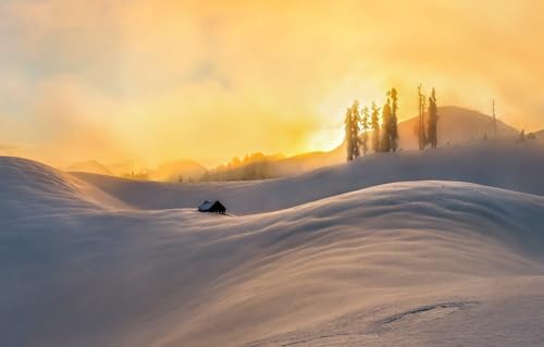 Puzzle für Erwachsene 1000 | Puzzle 1000 Teile für Erwachsene Geschenke, Schnee 70x100CM von AFHMZ