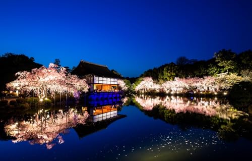 Puzzle für Erwachsene – Puzzle 2000 Teile – Herausforderungspuzzle, Kyoto, Heian-Tempel, Landschaften, 100 x 70 cm von AFHMZ