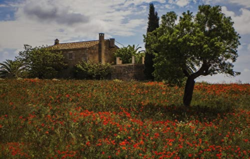 Puzzle für Junge Erwachsene, 1000 Teile, Wunderschöne Naturlandschaft, Blumen, Spanien, Monturi, Mallorca, 70 x 50 cm von AFHMZ