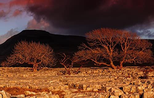 Puzzle für Kinder 2000 Teile, Naturschönheit, Sonnenuntergang, Ingleborough 70x100CM von AFHMZ