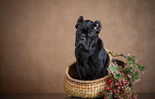 Riesenpuzzle für Erwachsene 2000 Teile Hund 70x100CM von AFHMZ