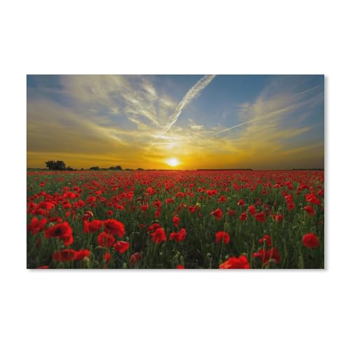 Sonnenuntergang, Mohnblumen, Puzzle 2000 Teile für Erwachsene, klassisches Puzzle, Kinderpuzzle, anspruchsvolle und schwierige Puzzles für Erwachsene und Jugendliche, 70 x 100 cm von AFHMZ