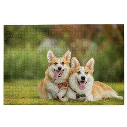 Süßes Corgi-Puzzle 1000 Teile 29,5-19,6 Zoll Kunstwerk Kunst Bild Puzzle Zuhause Große schwierige anspruchsvolle Puzzles Freizeit 70x50CM von AFHMZ