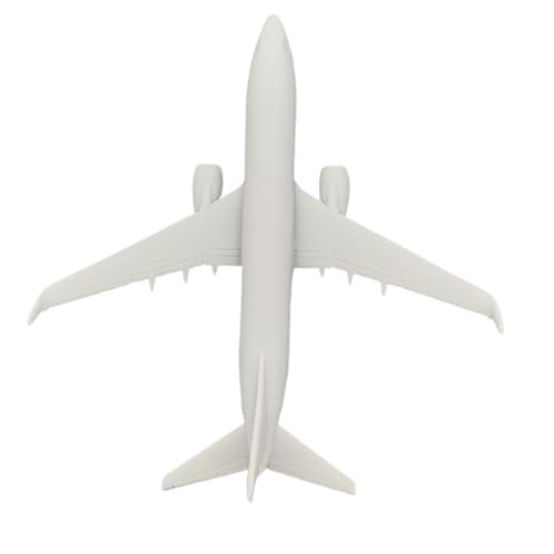 3D-Harzmodell USA 737-800 Verkehrsflugzeug Mit Panellinien. Flugzeugmodelle Im Maßstab 1:2000, 1:700, 1:400, 1:350(1/400(98mm)) von AGSDGAWD