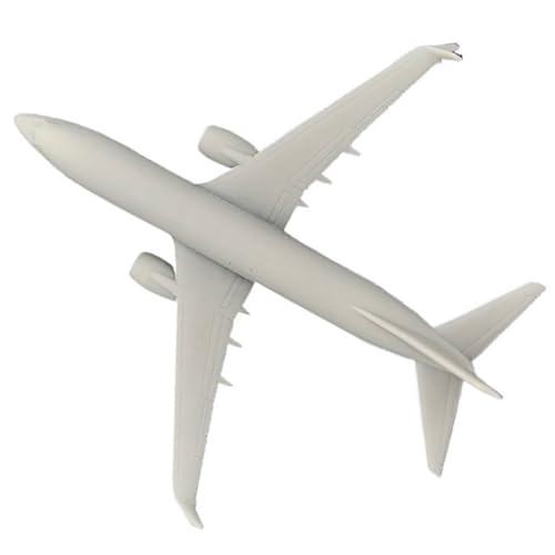 Militärmodell USA 737 MAX 8 Verkehrsflugzeug Mit Panellinien for Sammeln Und Ausstellen(1/350(112mm)) von AGSDGAWD