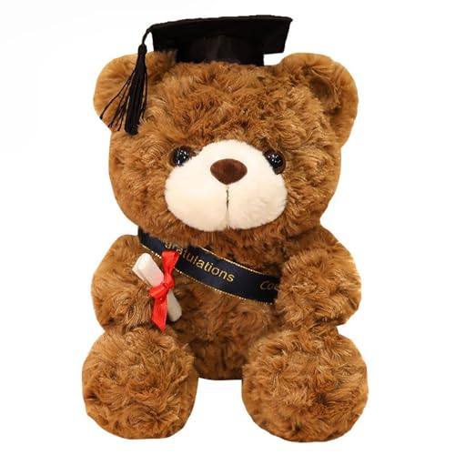 AHEJIOO Bachelor Geschenk, abschluss Geschenk, Graduation Gift, Niedlicher Teddybär Kuscheltier Bär – Graduation Gift, Perfektes Abschlussgeschenk von AHEJIOO