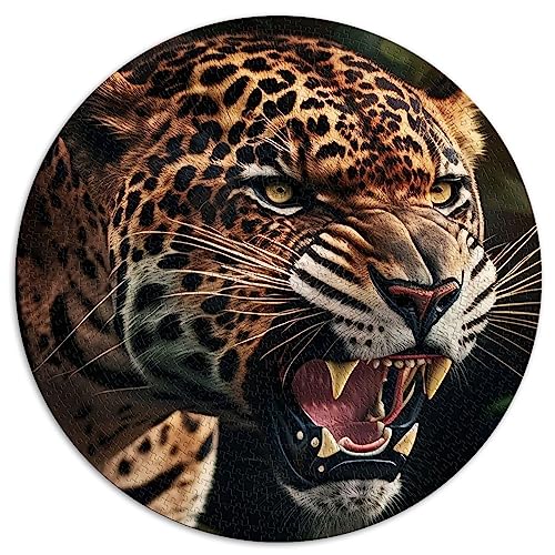 Jaguar 1000 extragroßes Puzzle, kugelförmiges Premium-Puzzle aus 100% recyceltem Karton, 67,5 x 67,5 cm von AITEXI