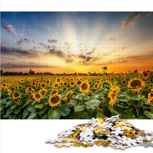 für Erwachsene 1000 Teile Sonnenblumenfeld bei Sonnenuntergang Puzzle Holzpuzzle Geschenk für Kinder ab 12 Jahren Lernspielzeug zum Stressabbau 1000 Teile (50 x 75 cm) von AITEXI