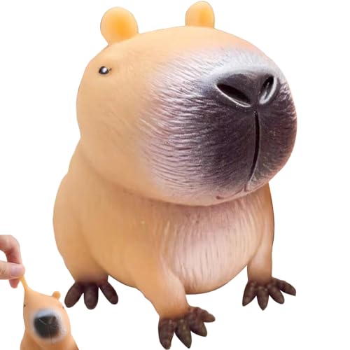 Stressball,Anti Stress Spielzeug,Fidget Anti Squishy Ball,Toys Squeeze Kinder,für Erwachsene Bälle Stressabbau,Sensory Capybara Balls Stressbälle,Adhs Antistressball Squish Squishies Zappelspielzeug von AJUNLKVDR