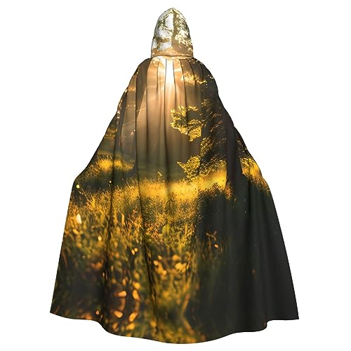 AKDODK Morning Sunlight In Wilderness Print Hooded Robe Cloak Halloween Cosplay Costumes For Adult Men Women Dark Party Capes von AKDODK