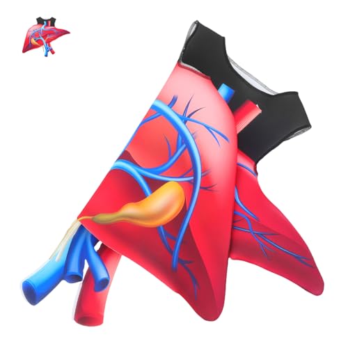 AKOOSY Halloween Herz Kostüm Großes Organ Outfit Für Schule Halloween Party Rollenspiel Lehrreiches Körperkostüm Atmungsaktives Material Einfach Zu Reinigen AKOOSY Halloween Herz Kostüm Großes Organ Outfit Für Schule Halloween Party Rollenspiel Lehrreiches Körperkostüm Atmungsaktives Material Einfach Zu Reinigen von AKOOSY