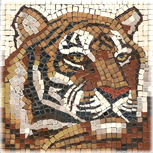 Mosaik Bastelsets 15x15cm, Tigre von ALEA Mosaic