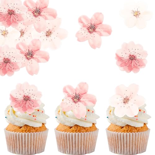 ALEGRE Kirschblüten Tortendeko Blumen Essbar,48 Stück Essbare Blumen für Torte,Rosa Kirschblüten Deko Torte Essbar,2D Blüten Cupcake Deko,Esspapier Tortendeko für Geburtstag Hochzeit Taufe ALEGRE Kirschblüten Tortendeko Blumen Essbar,48 Stück Essbare Blumen für Torte,Rosa Kirschblüten Deko Torte Essbar,2D Blüten Cupcake Deko,Esspapier Tortendeko für Geburtstag Hochzeit Taufe von ALEGRE
