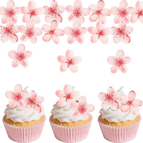 ALEGRE Kirschblüte Tortendeko Essbar,60 Stück Essbare Blüten Torten Deko,Rosa Blumen Tortendeko,Esspapier Blumen Kuchen Deko,Blüten Cupcake Deko,Essbare Kirschblüte Cupcake Topper Hochzeit Geburtstag ALEGRE Kirschblüte Tortendeko Essbar,60 Stück Essbare Blüten Torten Deko,Rosa Blumen Tortendeko,Esspapier Blumen Kuchen Deko,Blüten Cupcake Deko,Essbare Kirschblüte Cupcake Topper Hochzeit Geburtstag von ALEGRE