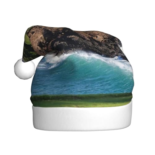 AMINNU Hawaii Strand Golfplatz Weihnachtsmann Hüte Erwachsene Weihnachtsmützen Unisex Plüsch Weihnachtsmützen Neujahr Festlich Party Supplies von AMINNU