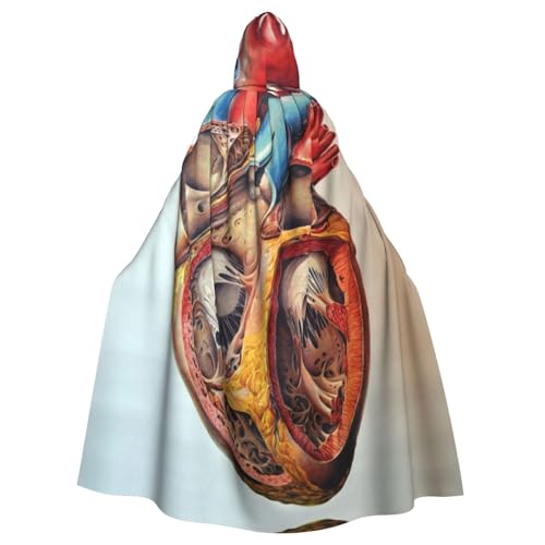 AMINNU Human Anatomy Heart Chart Men And Women'S Halloween Hooded Robes And Cloaks, Role-Playing Costumes, Party Costumes, Fancy Dresses, Durable And Skin Friendly von AMINNU