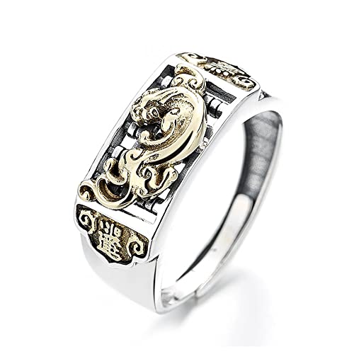 AMZBNEIDI Chinese Lucky Feng Shui Auspicious Ring ， Feng Shui Pixiu Verstellbarer Silberring, Talismanring, Reichtum, Glücksring for Männer, Jungen, Frauen und Mädchen von AMZBNEIDI