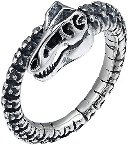 AMZBNEIDI Chinese Lucky Feng Shui Auspicious Ring ， Vintage-Ring aus echtem Sterlingsilber mit Dinosaurierskelett, for Männer und Frauen, offen und verstellbar von AMZBNEIDI