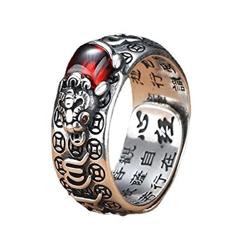 Chinese Lucky Feng Shui Auspicious Ring ， Feng Shui Pixiu Mantra-Ring, 99 Silber, buddhistischer Glücks-Amulett-Mantra, doppelter Schutz, Reichtum, Liebe, Gesundheit, Ring, Geschenk for Männer und Fra von AMZBNEIDI